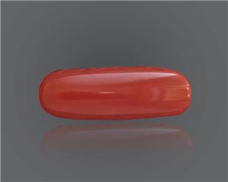 Red Coral (Moonga) Natural Certified 9.12 RATTI ( 38048 )